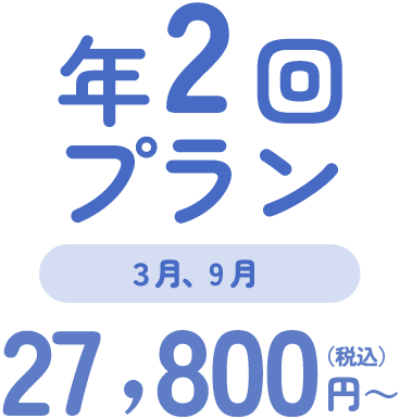 年２回プラン