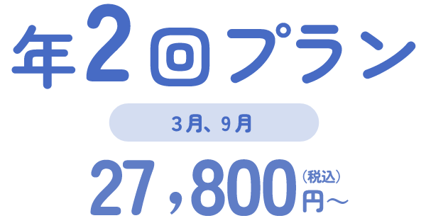 年２回プラン