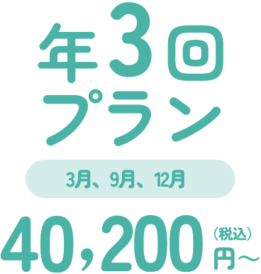 年３回プラン