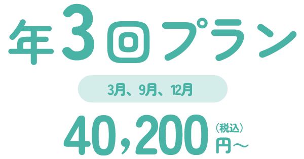 年３回プラン