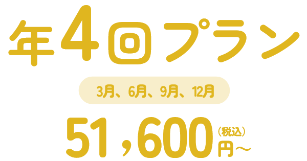 年４回プラン